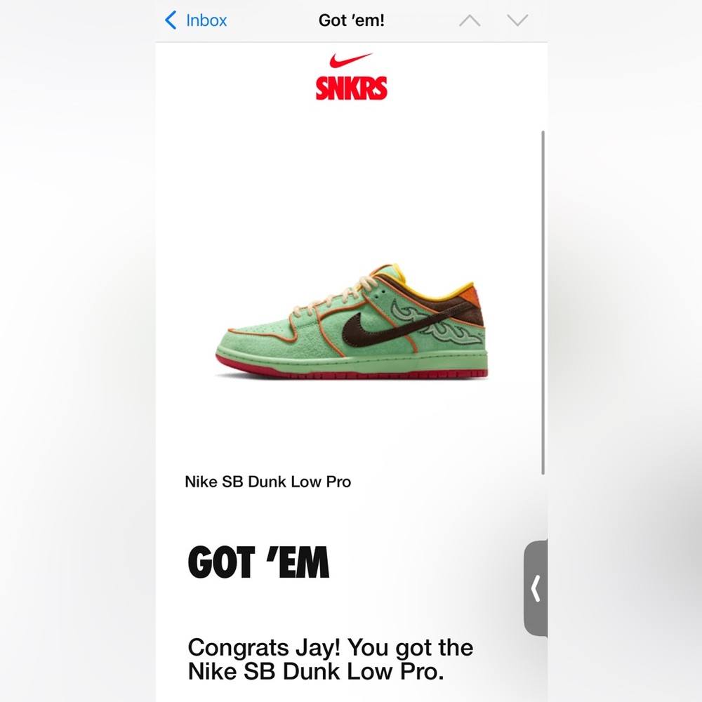 Nike SB Dunk Low Pro QS in Tourmaline and Brown